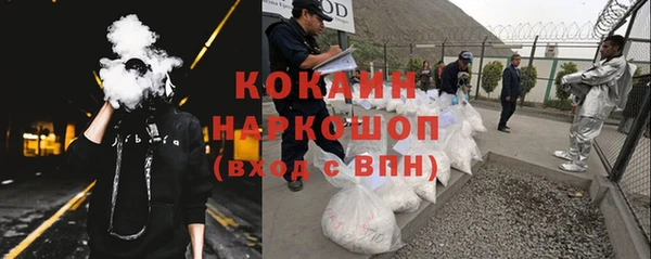 стафф Снежногорск